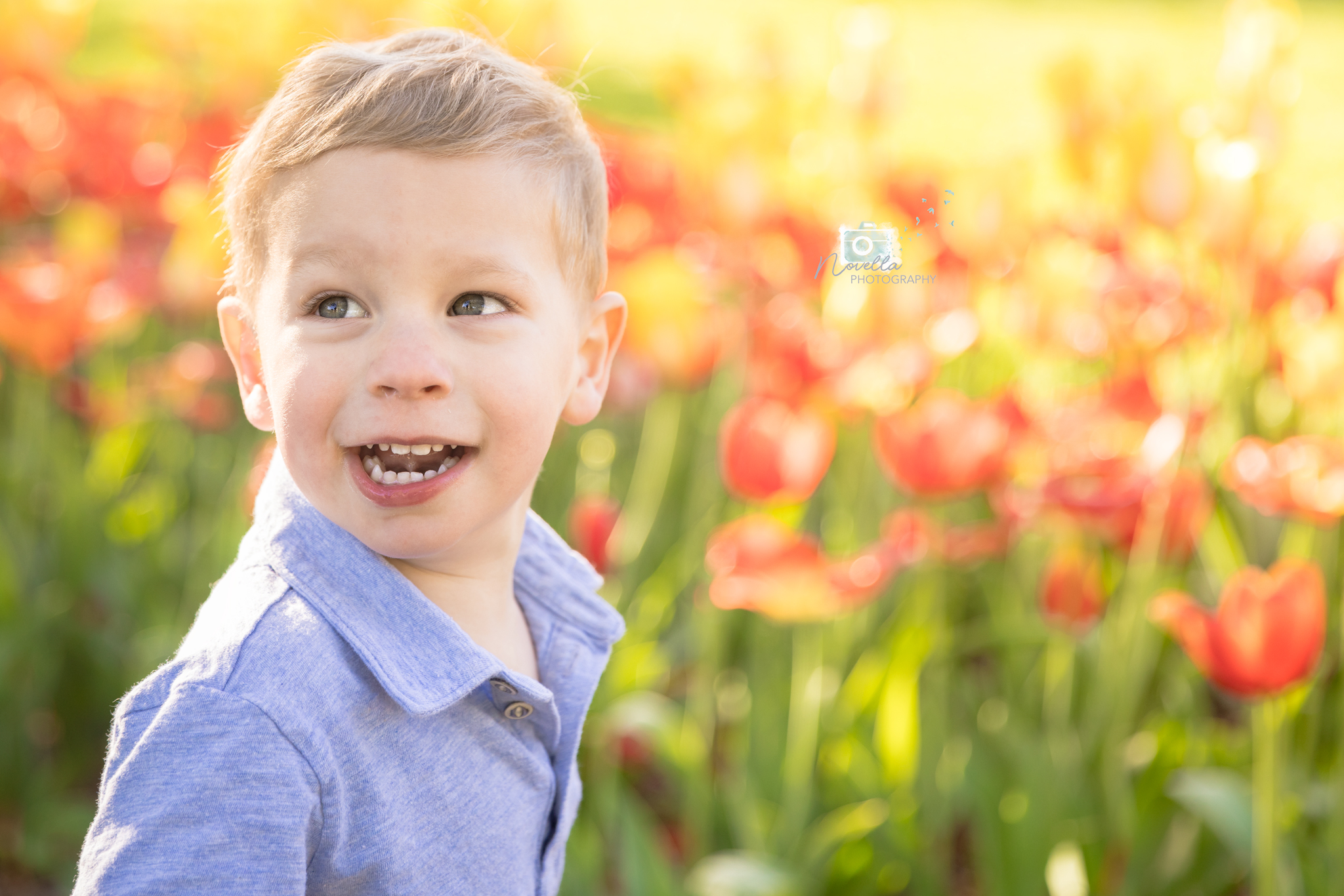 Little boy among the tulips.  Lilacia Park.  Lombard, IL.  Tulip season.  May.  Springtime.  Warrenville Photographer.  Lombard Photographer.