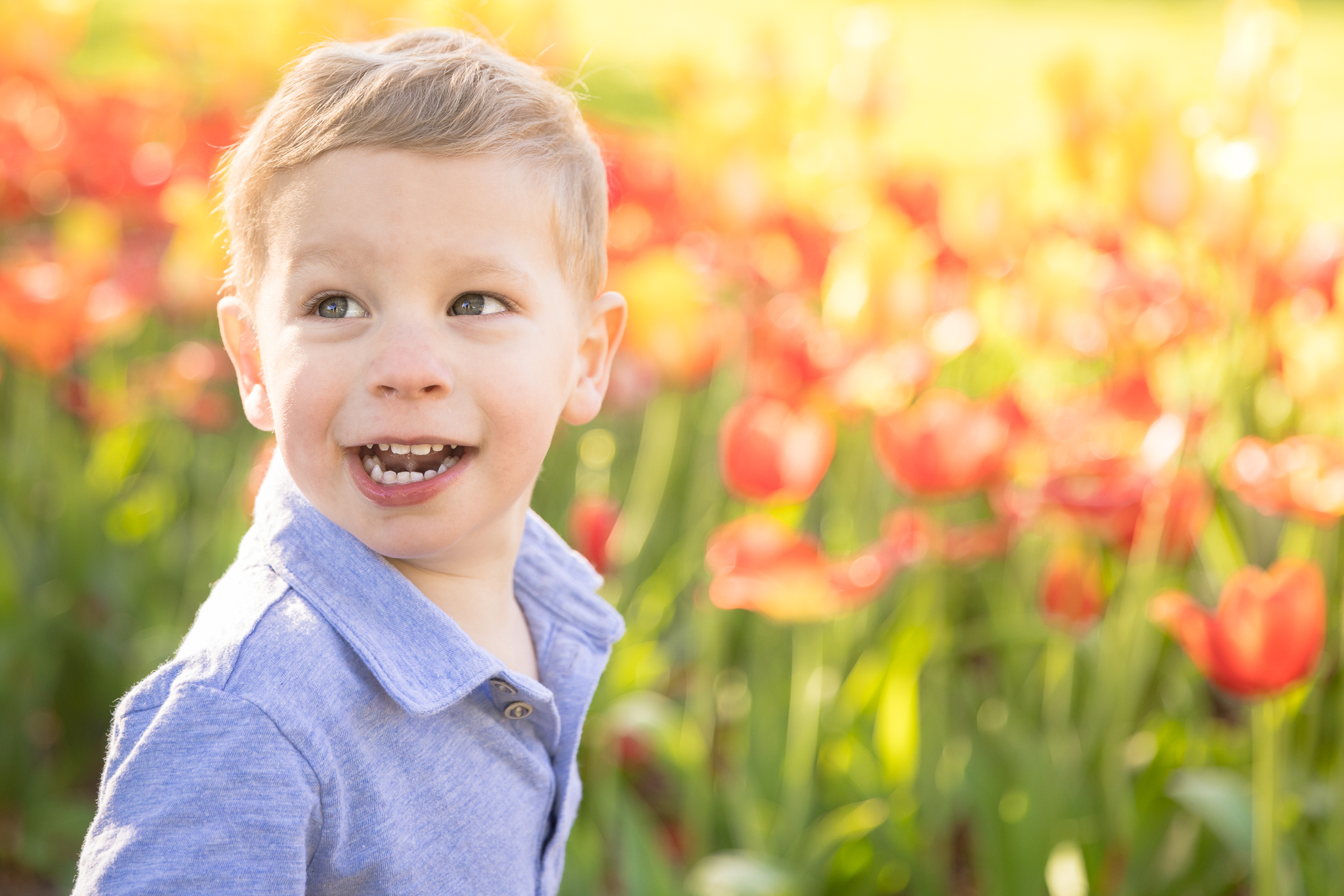 Little boy looking back at his mom while standing in front of yellow and red tulips at Lilacia Park in Lombard, IL
