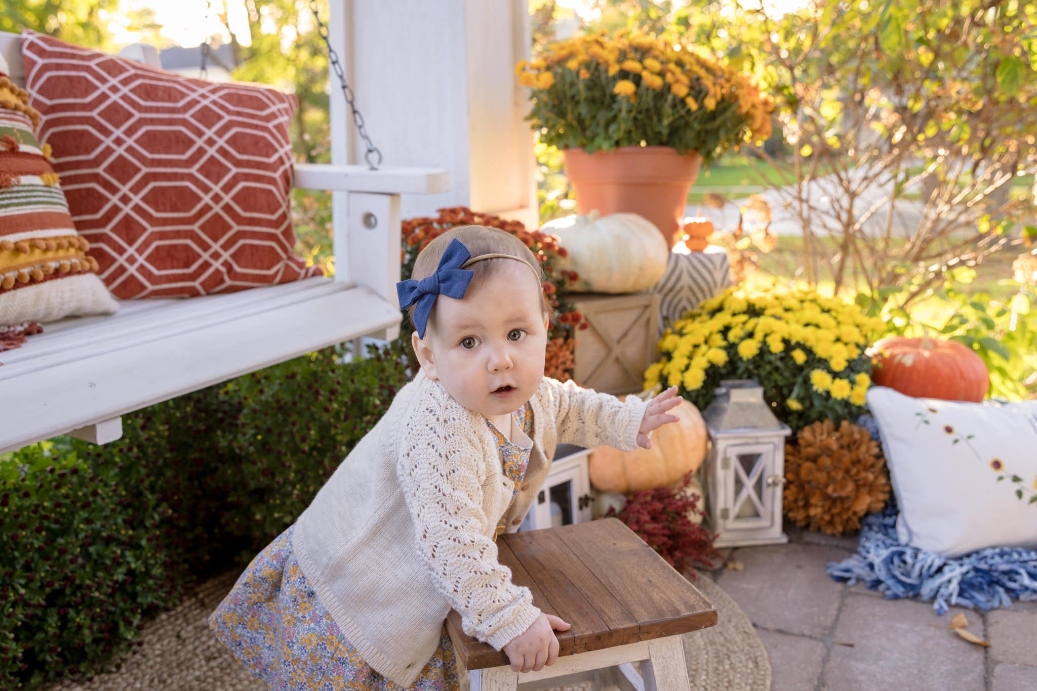 Little girl that just learned how to stand holding onto a stool and pulling herself up. Taken in front of a bunch of colorful mums